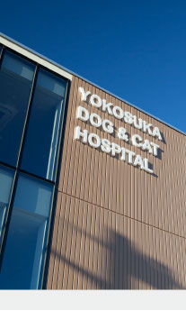 よこすか犬と猫の病院